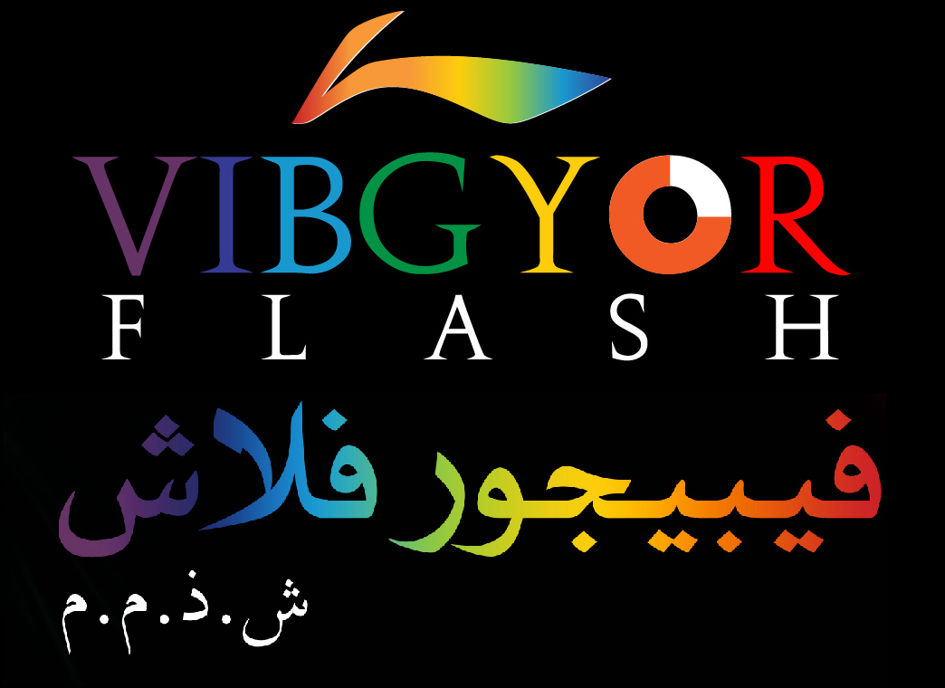 Vibgyor Flash Web Design LLC Logo