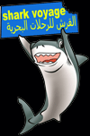 shark voyage Logo