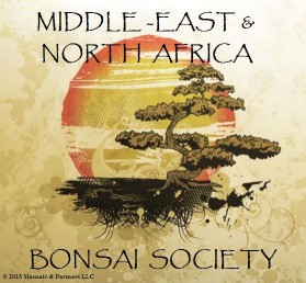 Bonsai Dubai Logo