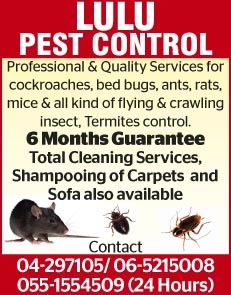 LuLu Pest Control & Cleaning