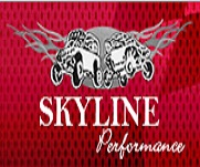 SKYLINE Performance Logo