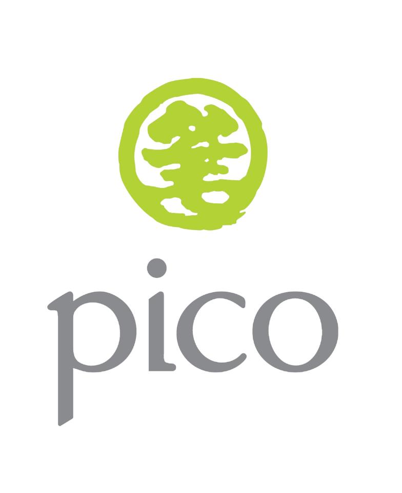 Pico MENA Logo