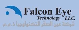 Falcon Eye LLC Logo