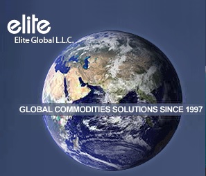 Elite Global LLC Logo