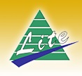 LITE Information Technology Logo