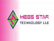 Megs Star Technology LLC Logo