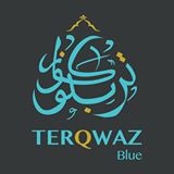 TerQwaz Blue Logo