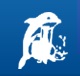 Super Dolphin Trading Co. LLC Abu Dhabi Logo