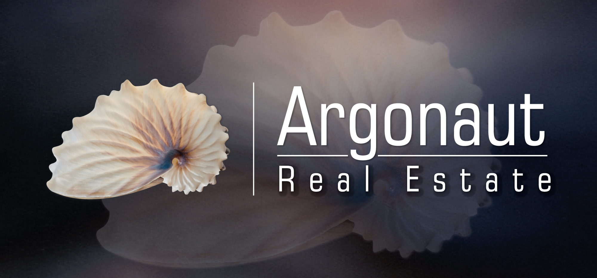 Argonaut Real Estate Logo