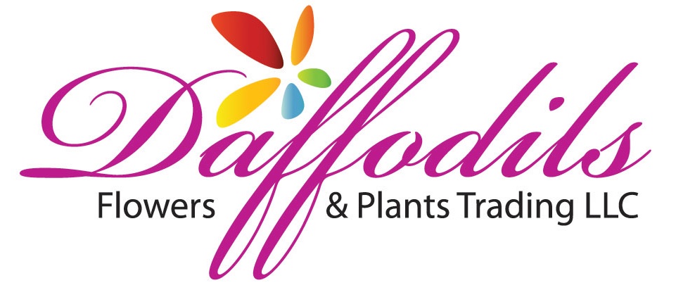 Daffodils Flowers & Plants Trading LLC Logo