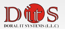 DORAL IT SYSTEMS LLC