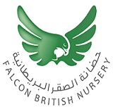 Falcon British Nursery Logo