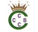 City Crown Building Cleaning Logo