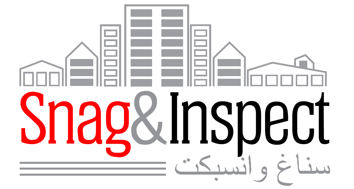 Snag and Inspect Logo