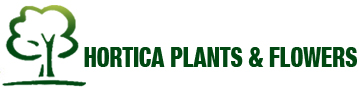 Hortica Plants & Flowers Logo