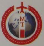 Mehdi Travels L.L.C. Logo