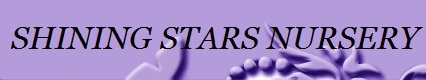 Shining Stars Nursery Logo