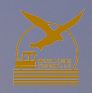 White Bird Tourism LLC Logo