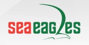 Sea Eagles Shipping LLC  Logo