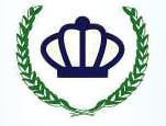 Royal Top Cleaning Services Logo