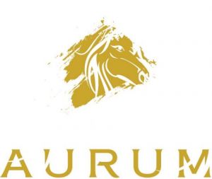Aurum Real Estate Brokers Logo