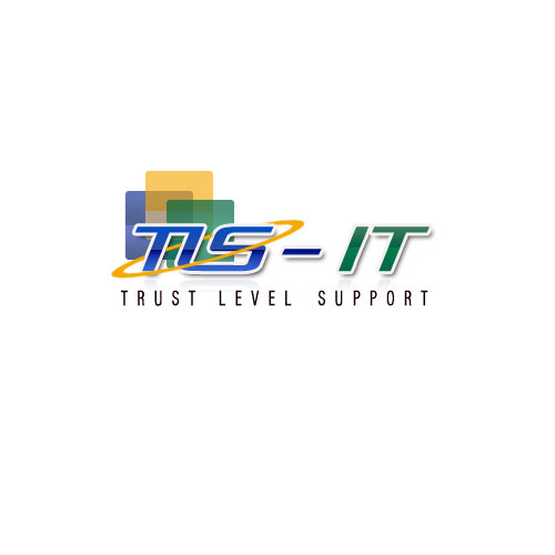 TLS IT Solutions DMCC Logo