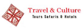 Dubai Travel & Culture Services Logo