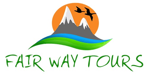 Fairway Tours Logo