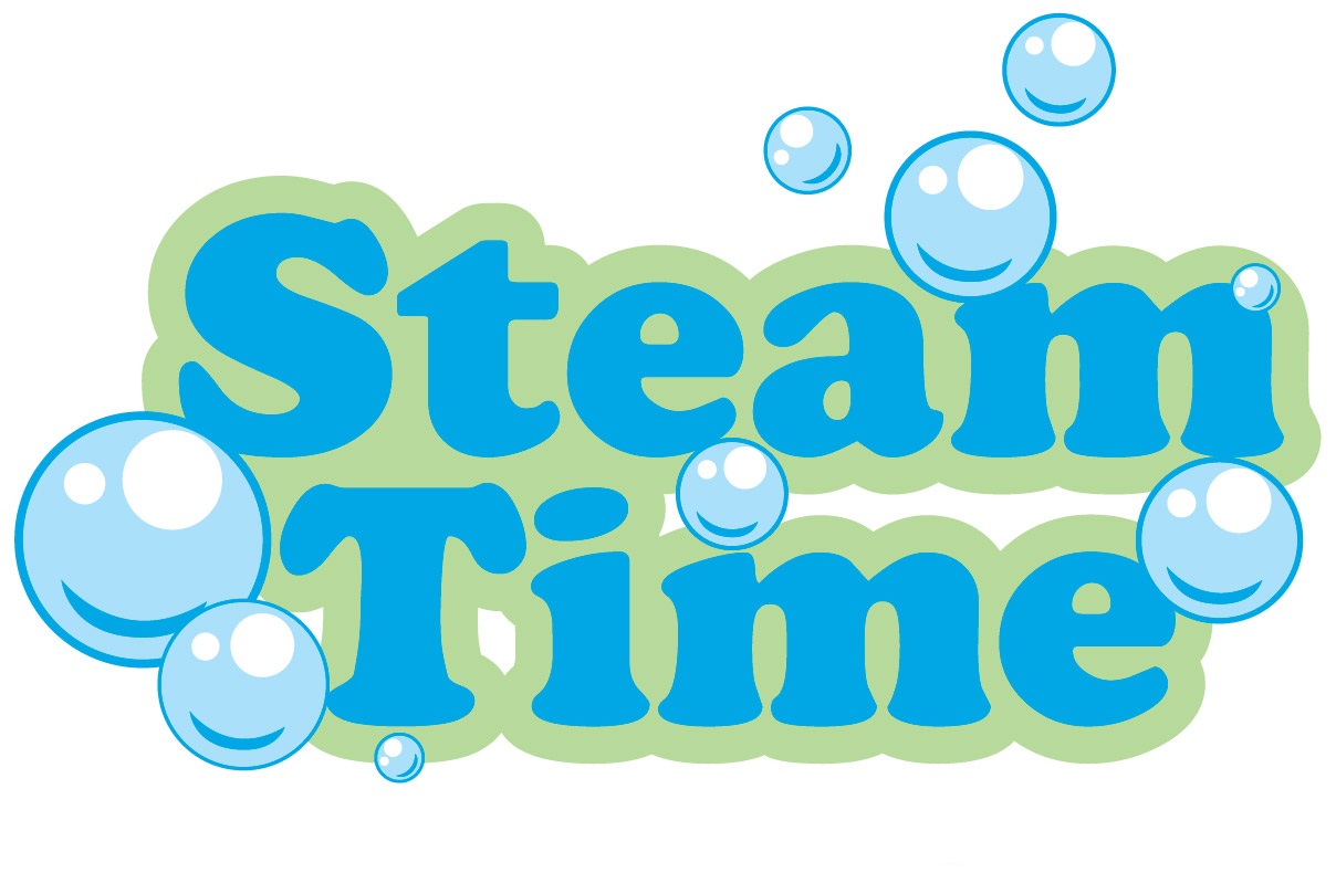 Steam Time Cleaning Services Logo