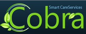 COBRA SMART CARE Services Logo