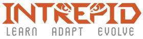 Intrepid Group Logo