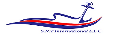 SNT International Logo