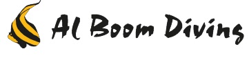 Al Boom Diving Logo