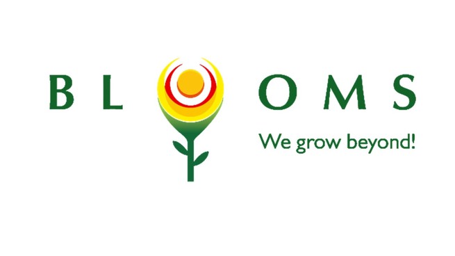 Blooms Management Consultants
