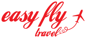 easy fly travel LLC Logo