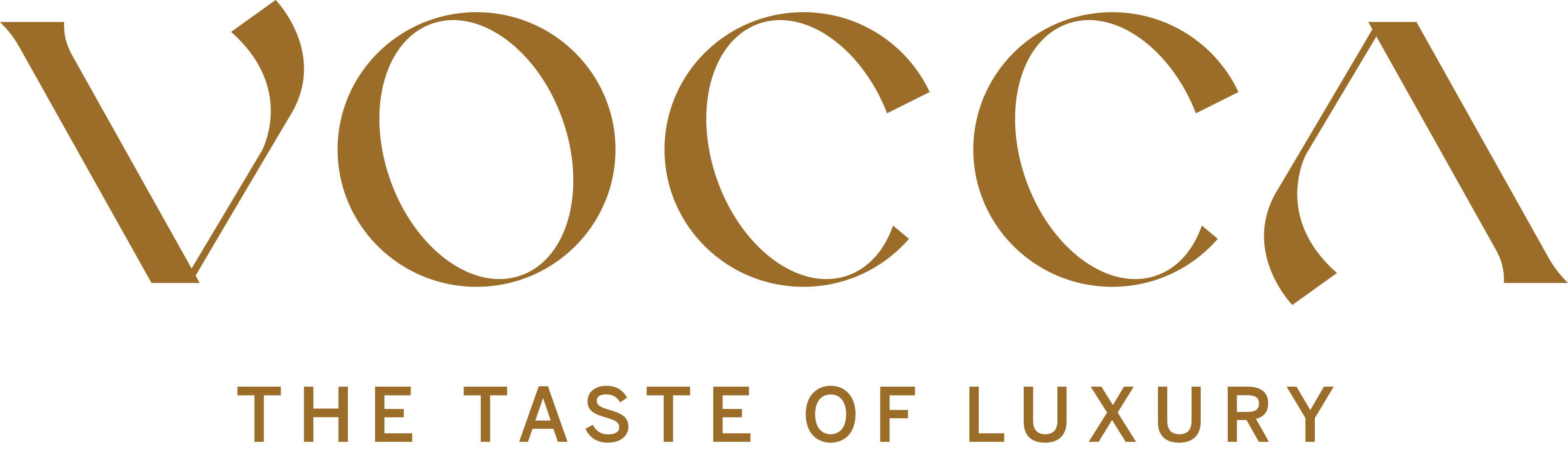 VOCCA Logo