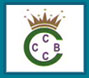 City Crown Services Logo