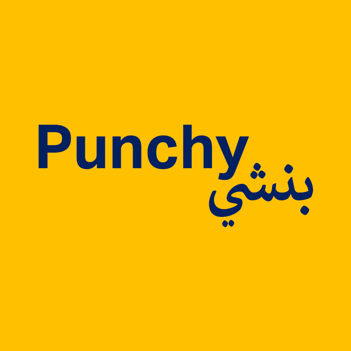 Punchy Consultancy Logo