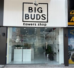 Big Buds Flowers
