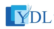 Middle East YorkTest Logo