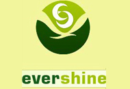 Evershine Gen. Maintenance & Professional Cleaning Company Logo