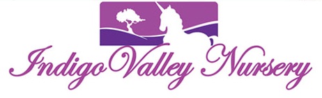 Indigo Valley Nursery Logo