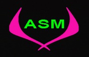 ASM Computers Logo