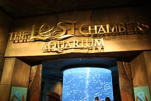 The Lost Chambers Aquarium Logo