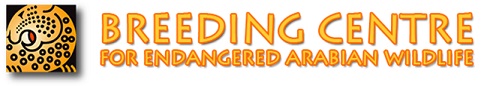 Breeding Centre for Endangered Arabian Wildlife Logo