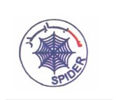 Spider Motors Logo