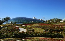 Raffles Botanical Garden of Dubai Logo