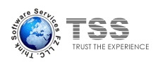 Think Software Services LLC Logo