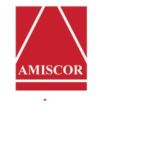 AMISCOR DECOR LLC IN DUBAI Logo