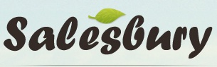 Salesbury Gen. Cont. & Landscaping Logo